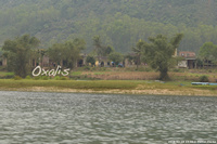 DSC_5228.jpg
