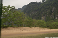 DSC_5238.jpg