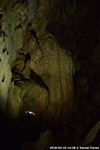 DSC_5272.jpg