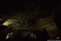 DSC_5279.jpg