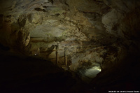 DSC_5295.jpg
