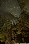DSC_5346.jpg