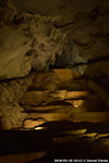 DSC_5381.jpg