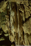 DSC_5386.jpg