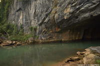 DSC_5395.jpg