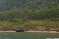 DSC_5400.jpg