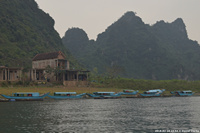 DSC_5411.jpg