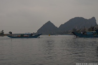 DSC_5417.jpg
