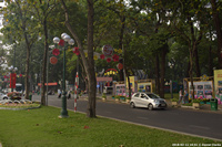 DSC_5424.jpg
