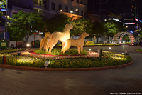 DSC_5791.jpg