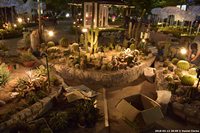 DSC_5792.jpg