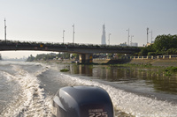 DSC_5594.jpg