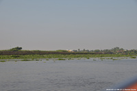 DSC_5602.jpg