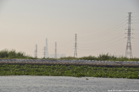 DSC_5603.jpg