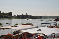 DSC_5610.jpg
