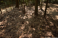 DSC_5620.jpg