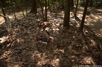 DSC_5621.jpg