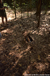 DSC_5623.jpg