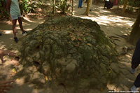 DSC_5637.jpg