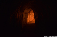DSC_5683.jpg