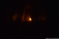 DSC_5684.jpg