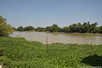 DSC_5699.jpg