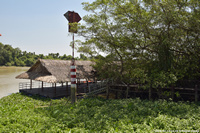 DSC_5702.jpg