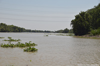 DSC_5710.jpg