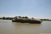 DSC_5716.jpg