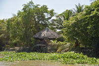 DSC_5723.jpg