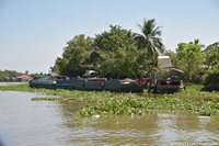 DSC_5725.jpg