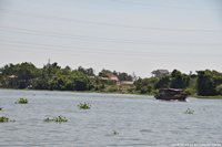 DSC_5728.jpg
