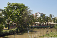 DSC_5752.jpg
