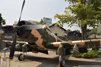DSC_5827.jpg