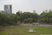 DSC_5895.jpg