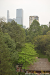 DSC_5897.jpg