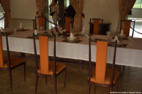 DSC_5917.jpg